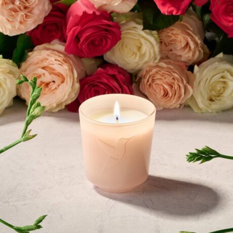 life_home_candle_jardindesroses